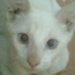 Meriel Arredondo