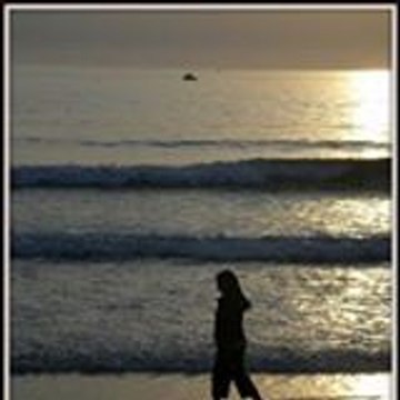 celine louis-françois