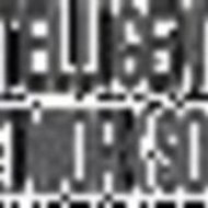 Intelligent Busines Network Solutions, Inc.