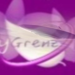 PsyGrenz - Team