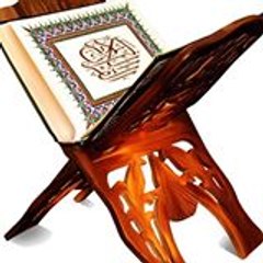 ninouty_daily