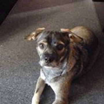 christiane_branca_sfr_fr