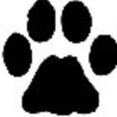 Dogs-Club-Vacances
