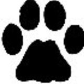 Dogs-Club-Vacances