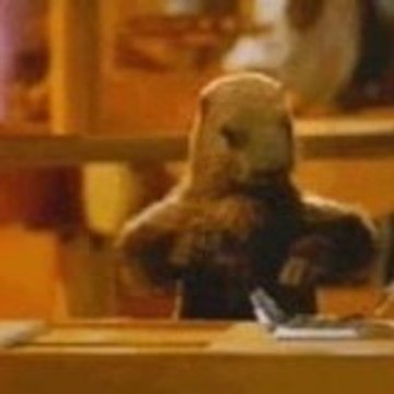 Marmotte