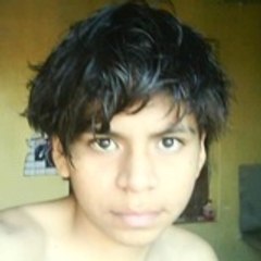 edwin david silva flores