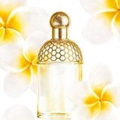 Parfum Flagrance