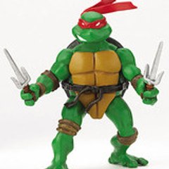 Turtle Man