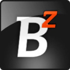 Bizzability