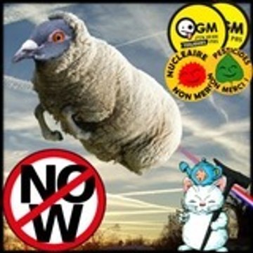 NoN merci