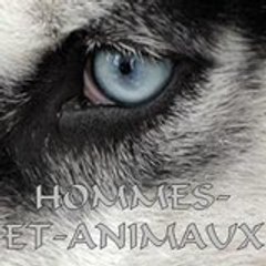 Hommes-Et-Animaux