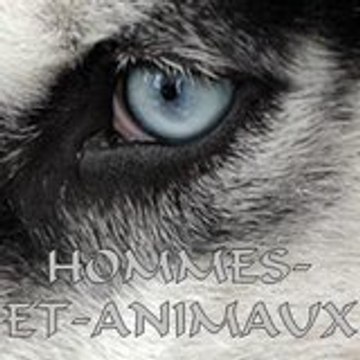 Hommes-Et-Animaux