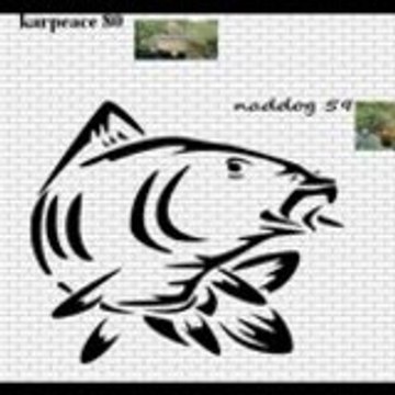 karpeace80