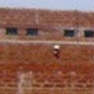 DEPARTMENT OF COMMUNICATION