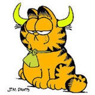 garfield137