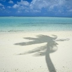 bluesea7walker