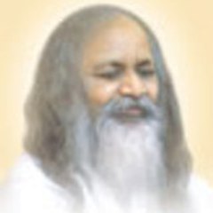 Maharishi-Video