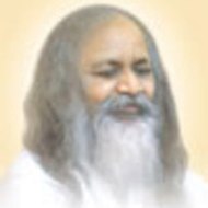 Maharishi-Video