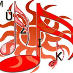 y_aslan