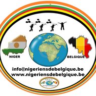 Nigerienss de Belgique