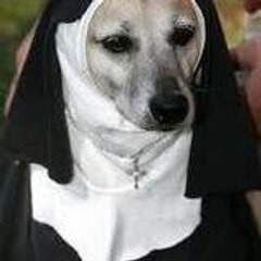 suora innamorata carmelitane