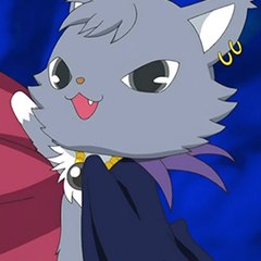 Hypercat-Z