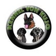 Avköpekleri Eğitmeni