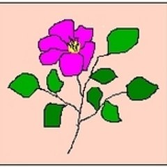 Vincent A.