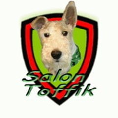 Toffik Salon