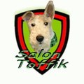 Toffik Salon