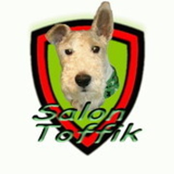 Toffik Salon