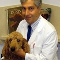 animalhospmtpocono