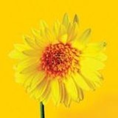 GreatNaturalRemedies