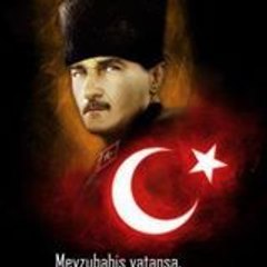Murat Mert