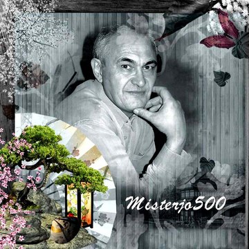 MISTERJO500