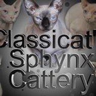 Stéphanie Julien Classicat's