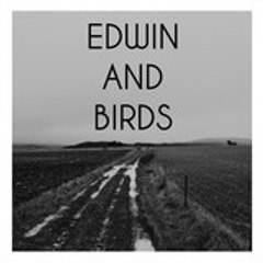 Edwin Birds