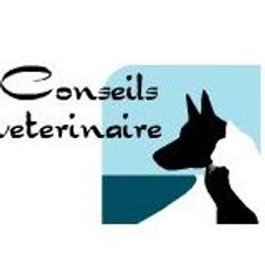 patrick conseilsvete