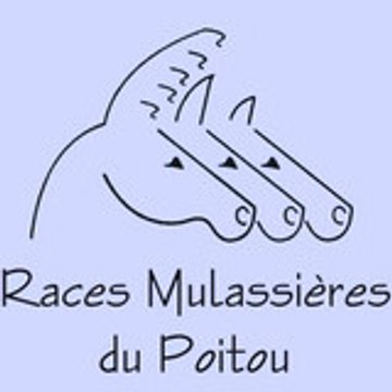 Lecampion Ophélie