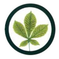 maison des marronniers