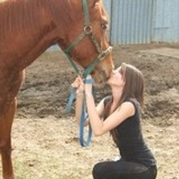 luckyhorse