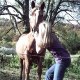 luna-et-sarah