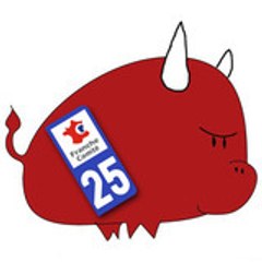 Bison Teint