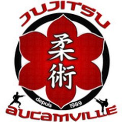 Jujitsu Aucamville
