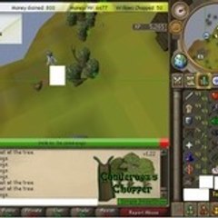RSBot