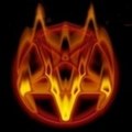 darkslipk