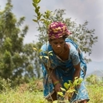 Livelihoods Danone
