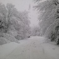 Nokesville Gassett Home Videos