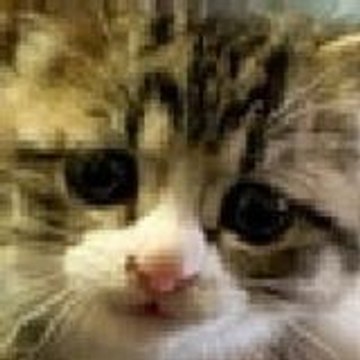 KatzenProductions