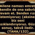 istanbulus